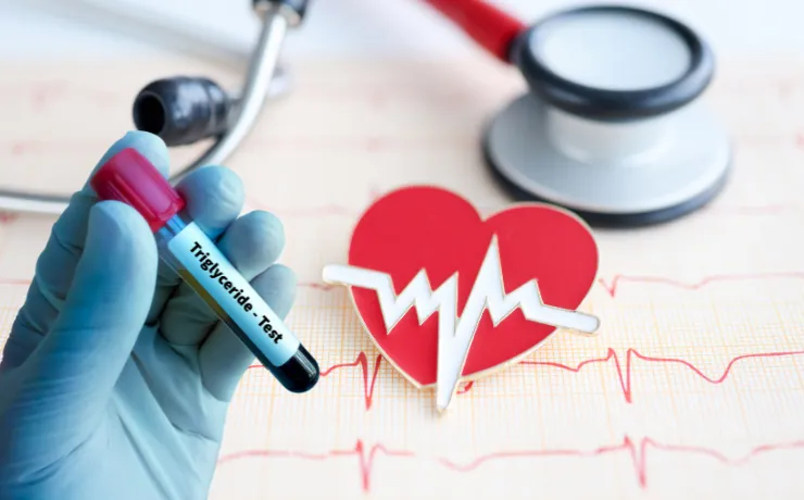 The Link Between Triglycerides and Heart Health: What You Need to Know